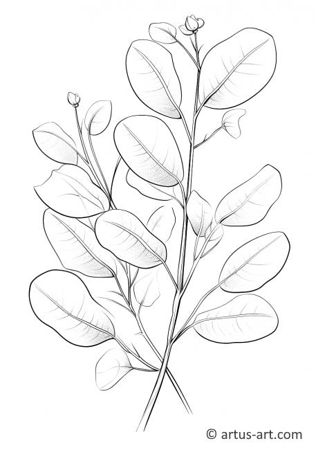 Página para colorir de folha de eucalipto